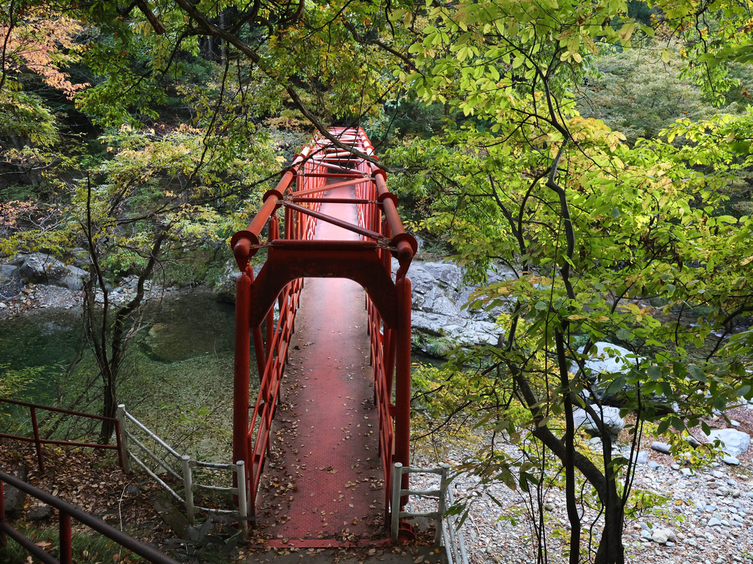 Sekiyama Otaki Fall景点图片