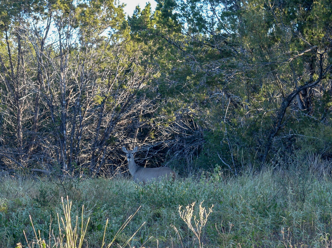 Shaffer Bend Recreation Area-Marble Falls必去景点