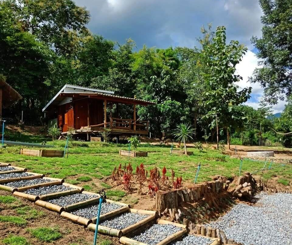 Chiangmai Elephant Home-清迈必去景点