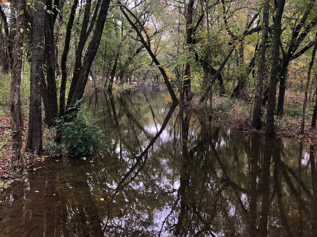 Bonnie Wenk Park-麦金尼必去景点