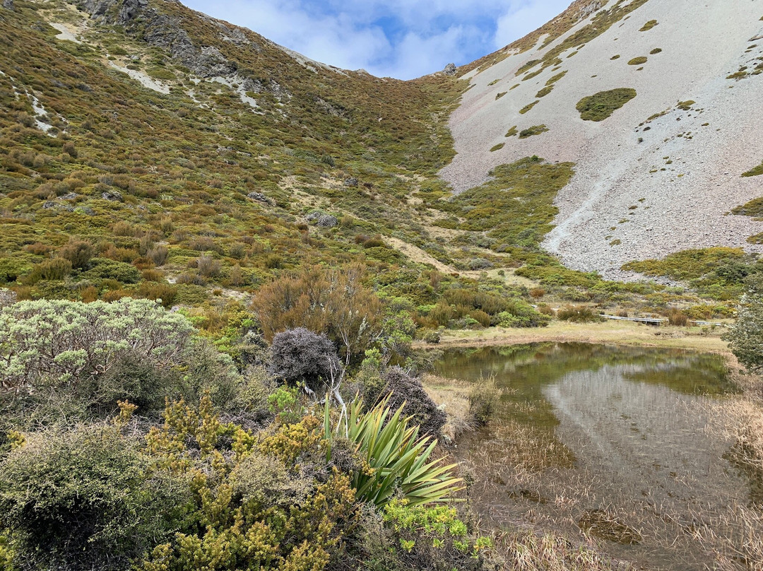 Red Tarns Track-库克山村庄必去景点