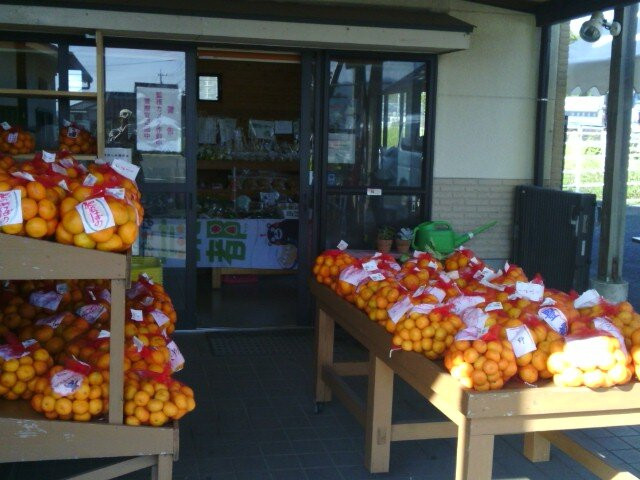 Gomaruichi-玉名市必去景点