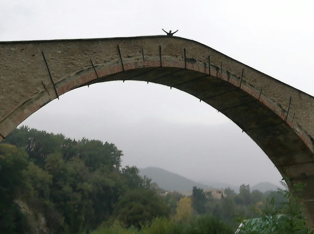 Ponte Alidosi (ponte rinascimentale a Schiena d'Asino)景点图片