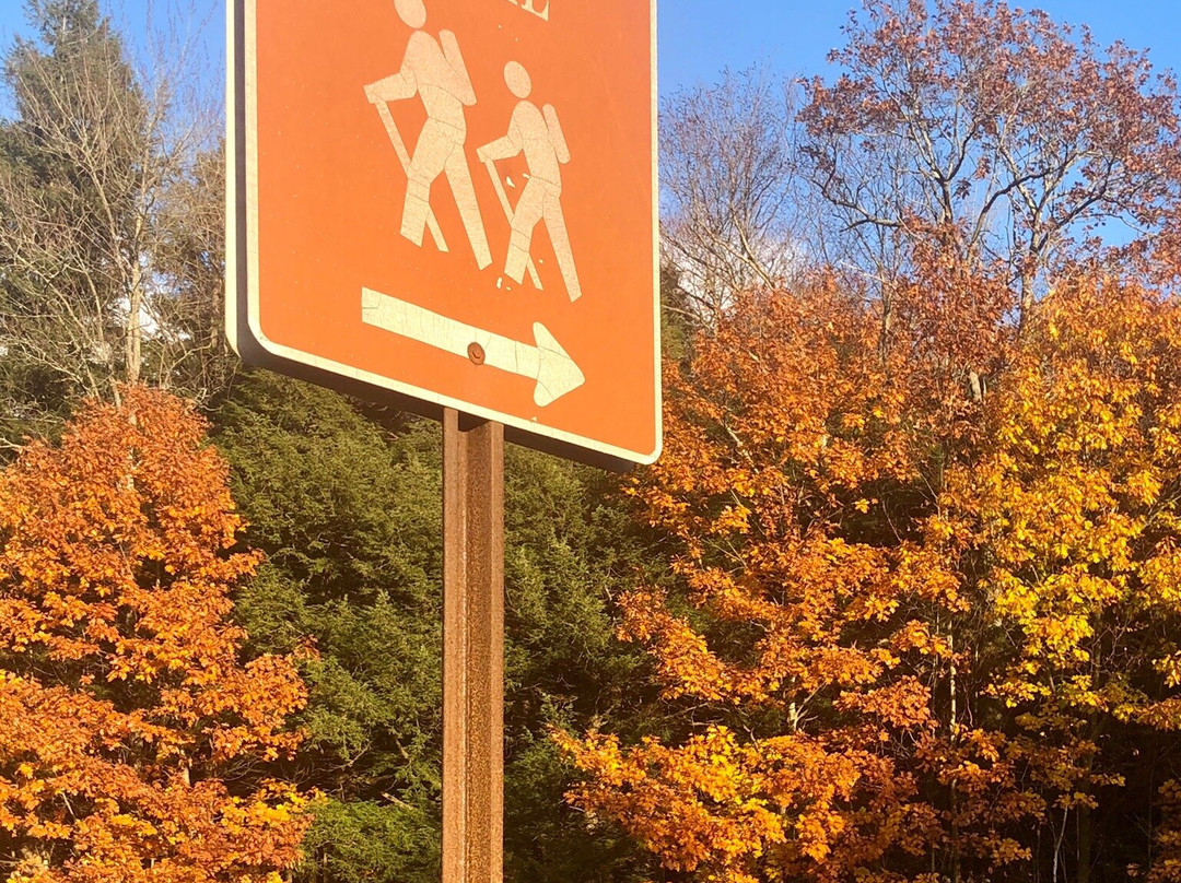 Town & Country Inn And Resort主图