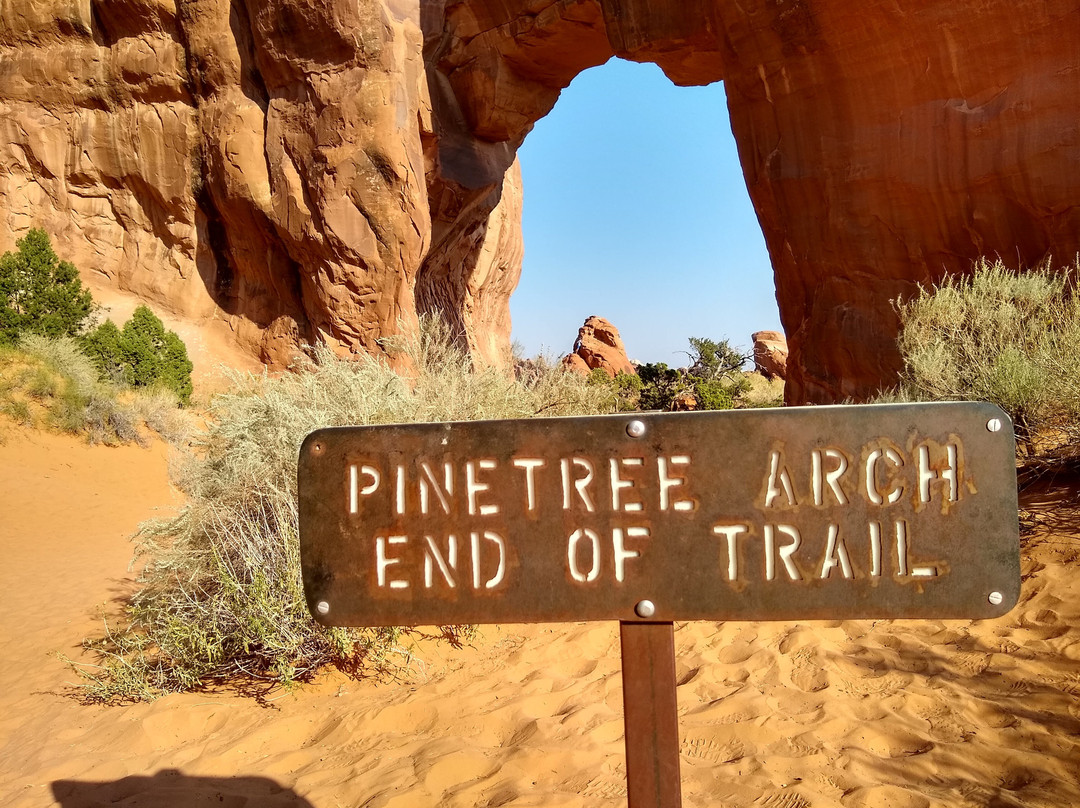 Pine Tree Arch Trail-拱门国家公园必去景点