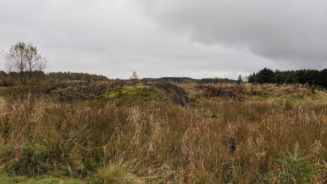 Wilsontown Ironworks