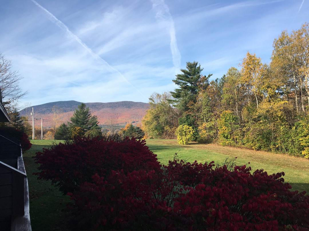 曼切斯特维尤酒店主图