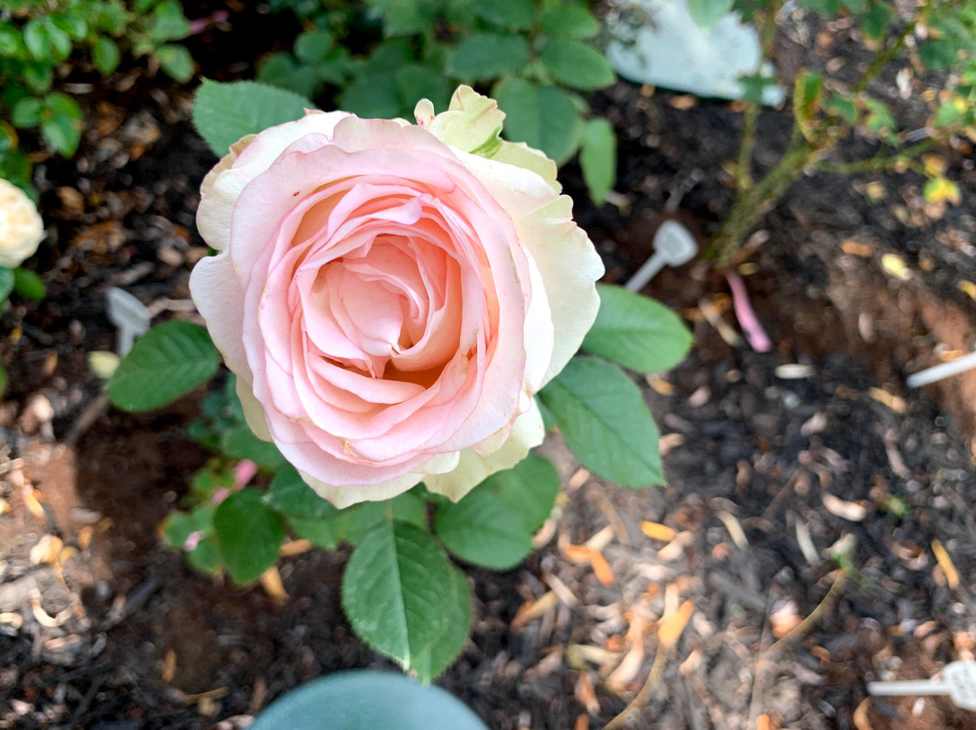 Mirbeau Inn & Spa Skaneateles主图