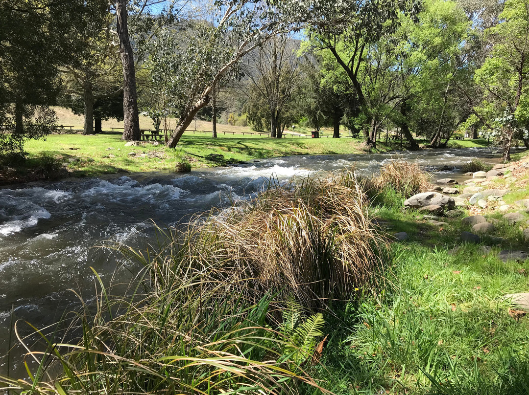 Tavare Park-Harrietville必去景点