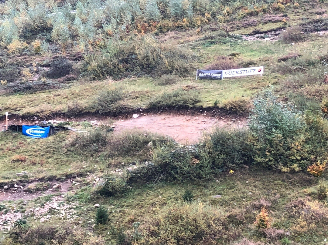 Bikepark Todtnau-托特瑙必去景点