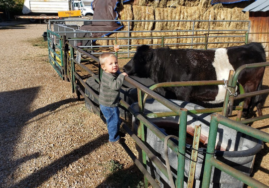 RunDown Ranch Kids Farm-Kamas必去景点