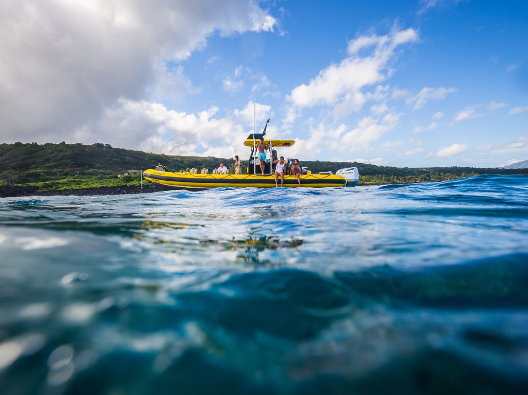 Ocean Outfitters Hawaii-哈雷瓦必去景点