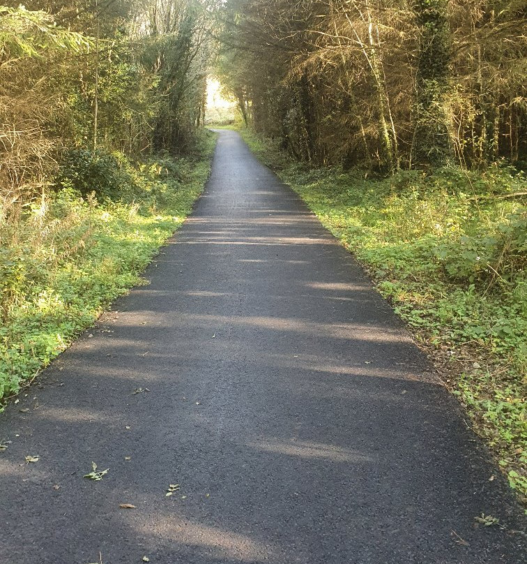 Killykeen Forest Park-County Cavan必去景点