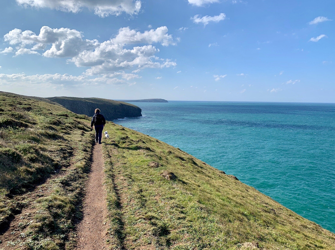 Padstow to Harlyn Bay Trail-帕兹托必去景点