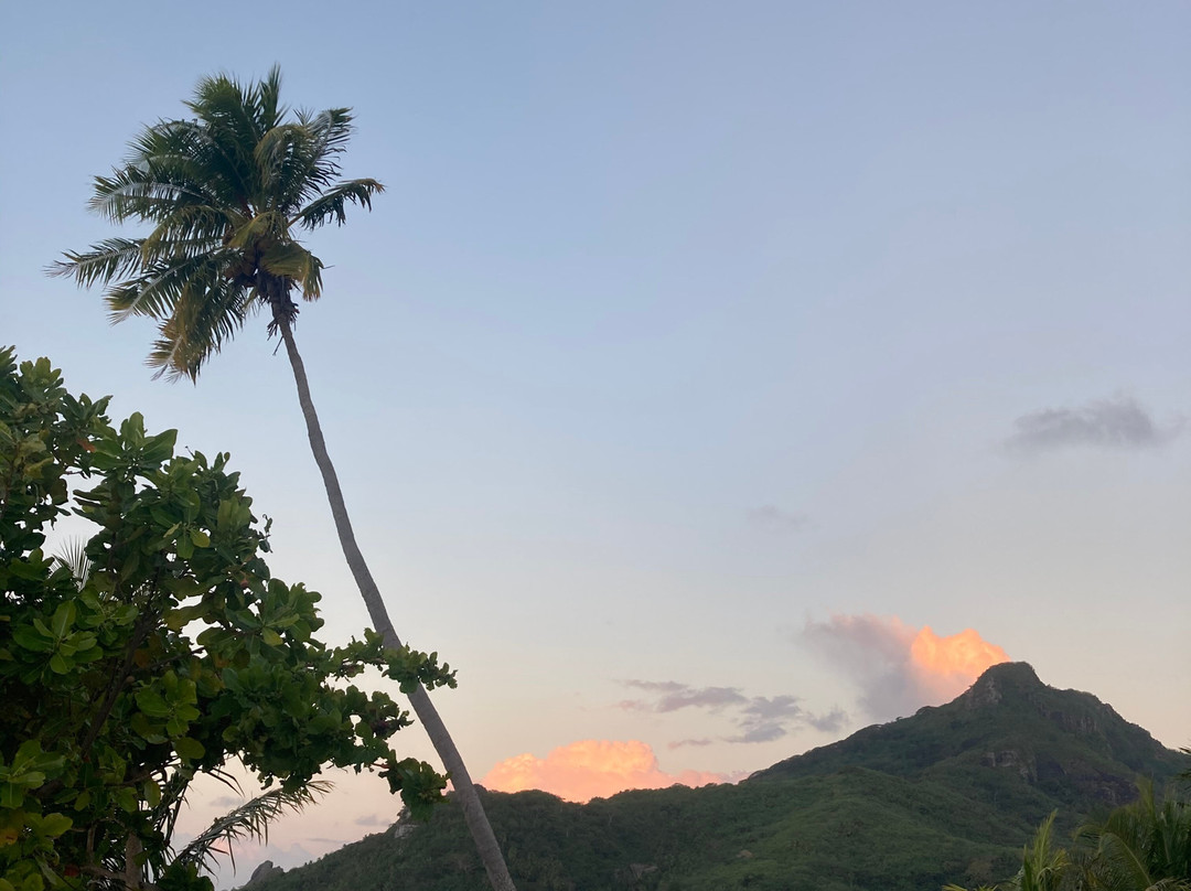 Pension Taputea主图