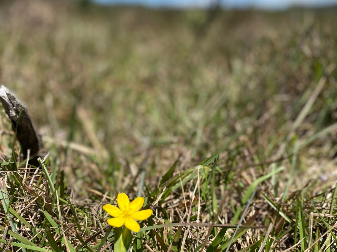 Pedra do Segredo-Cambará do Sul必去景点