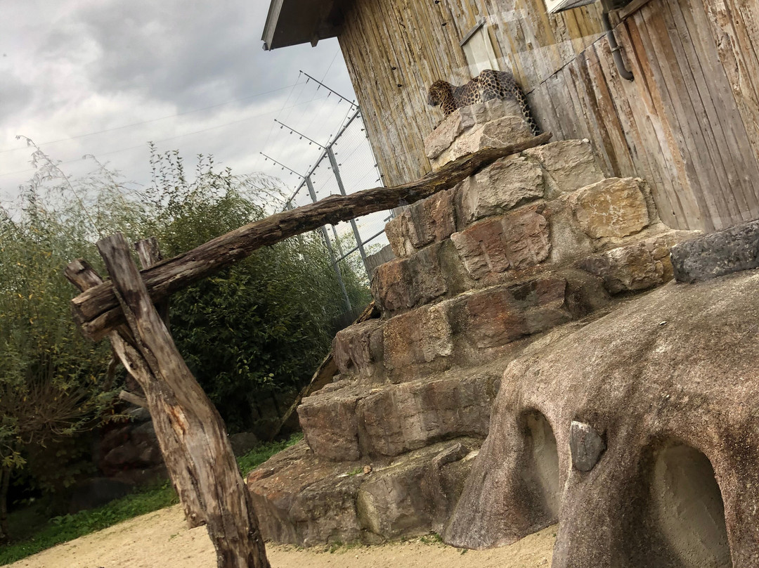 Toni's Zoo-Rothenburg必去景点