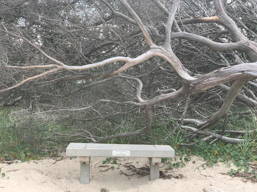 Springer's Point Preserve-Ocracoke必去景点