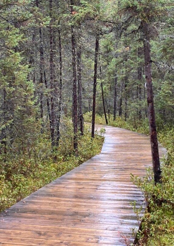 Algonquin Park-Whitney必去景点