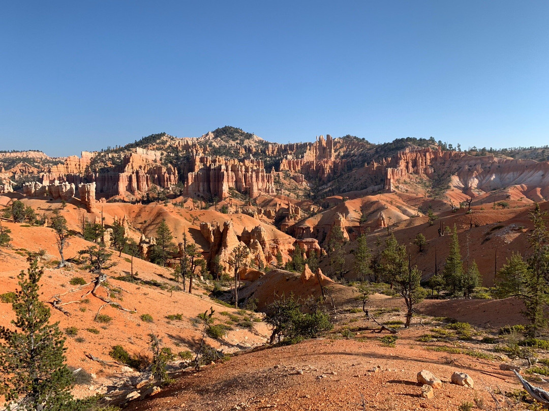 The Bullberry Inn主图