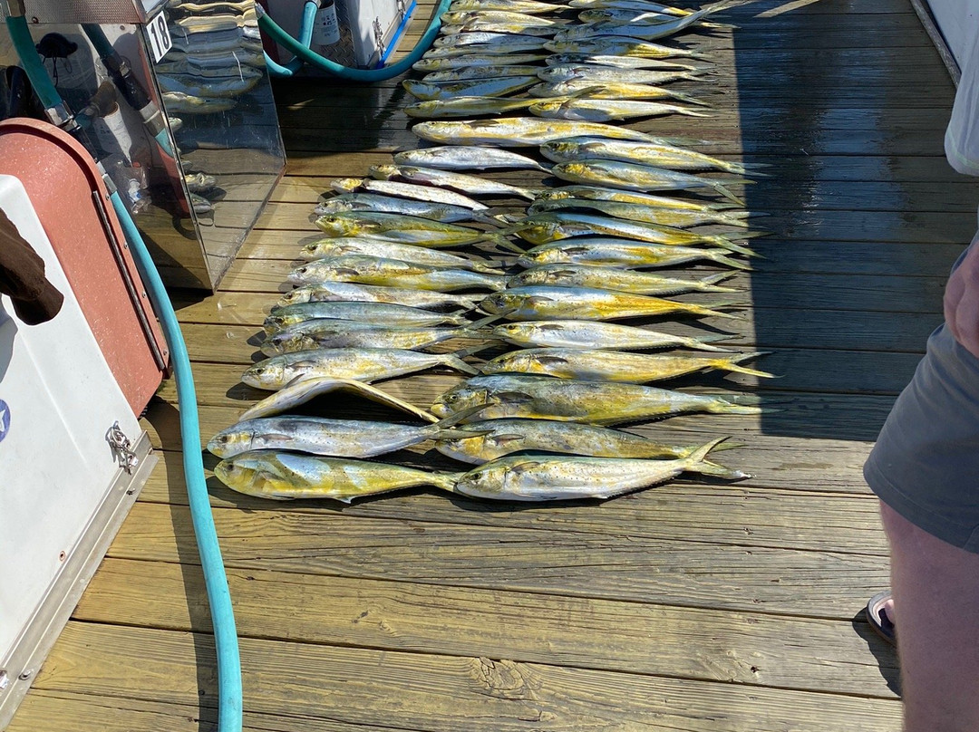 Rhonda's Osprey Offshore Charters-Palm Beach Shores必去景点