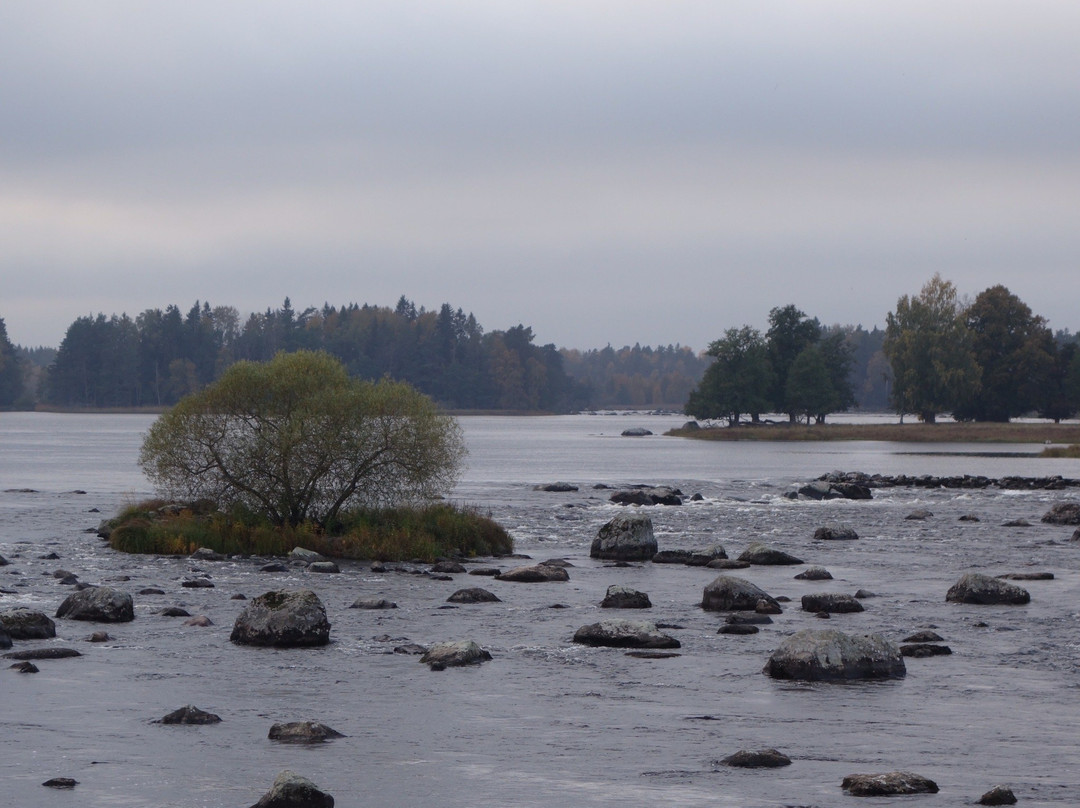 Färnebofjärden Nationalpark景点图片