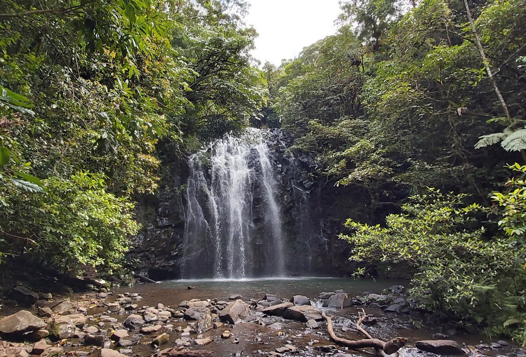 Ellinjaa Falls-Millaa Millaa必去景点