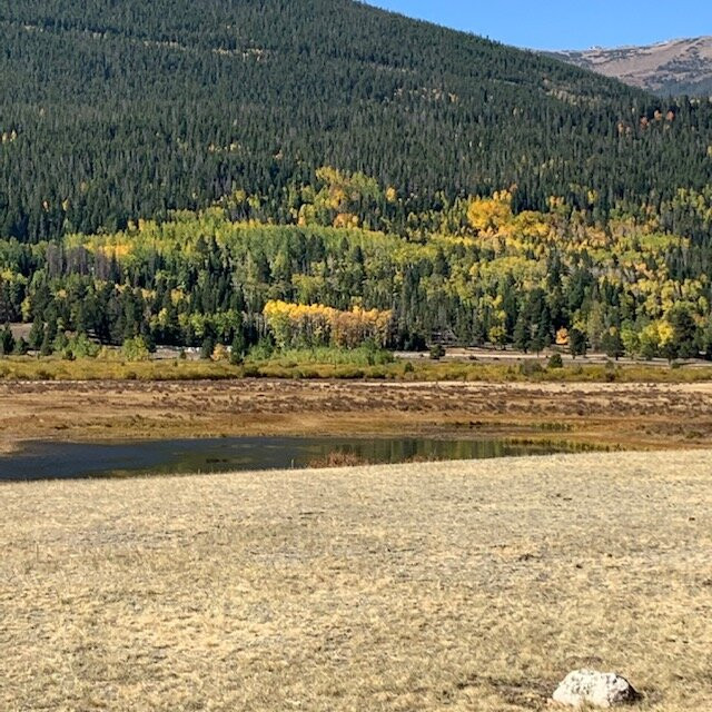 Sheep Lakes-落基山国家公园必去景点