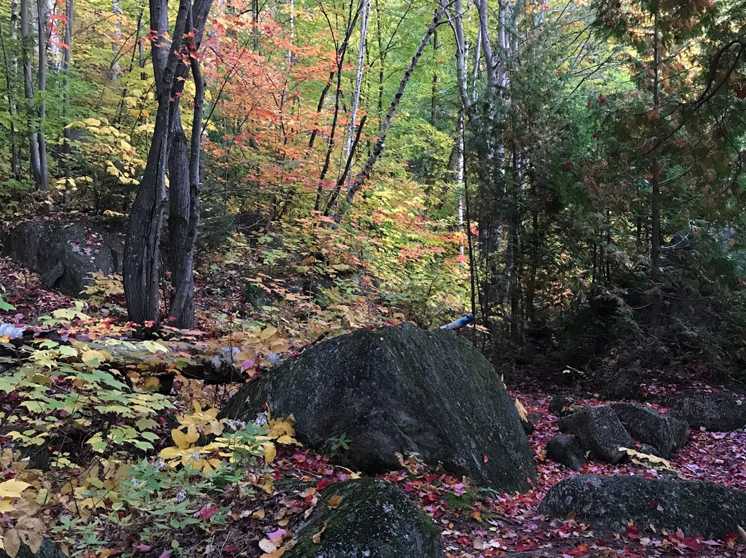 Auberge du Lac Morency主图