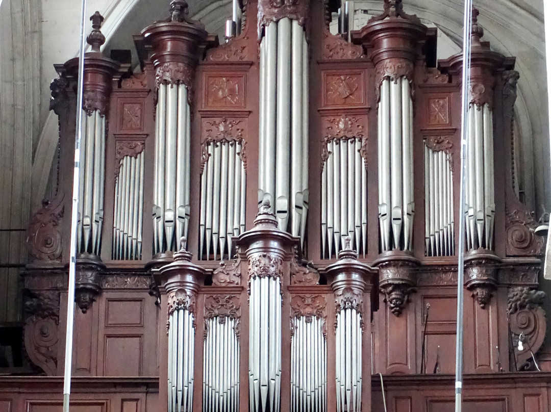 Cathédrale Saint-Louis-布洛瓦必去景点