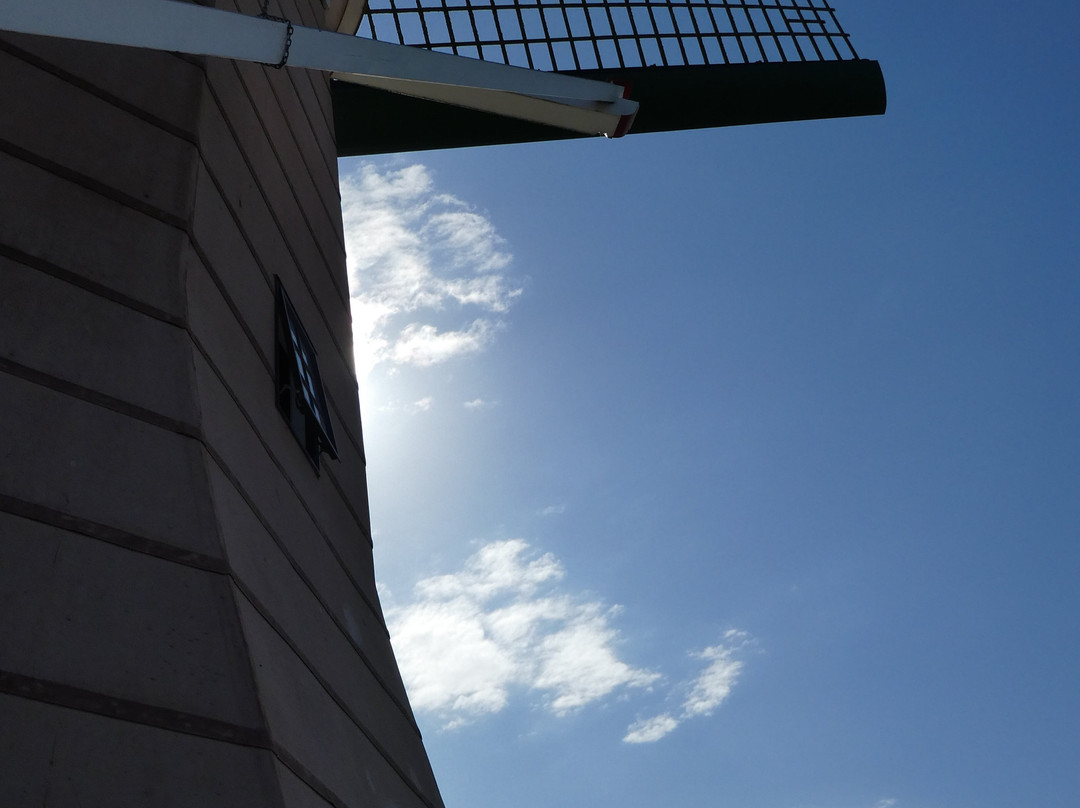 De Molen, Windmill景点图片