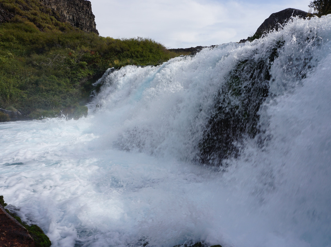 Thousand Springs State Park景点图片