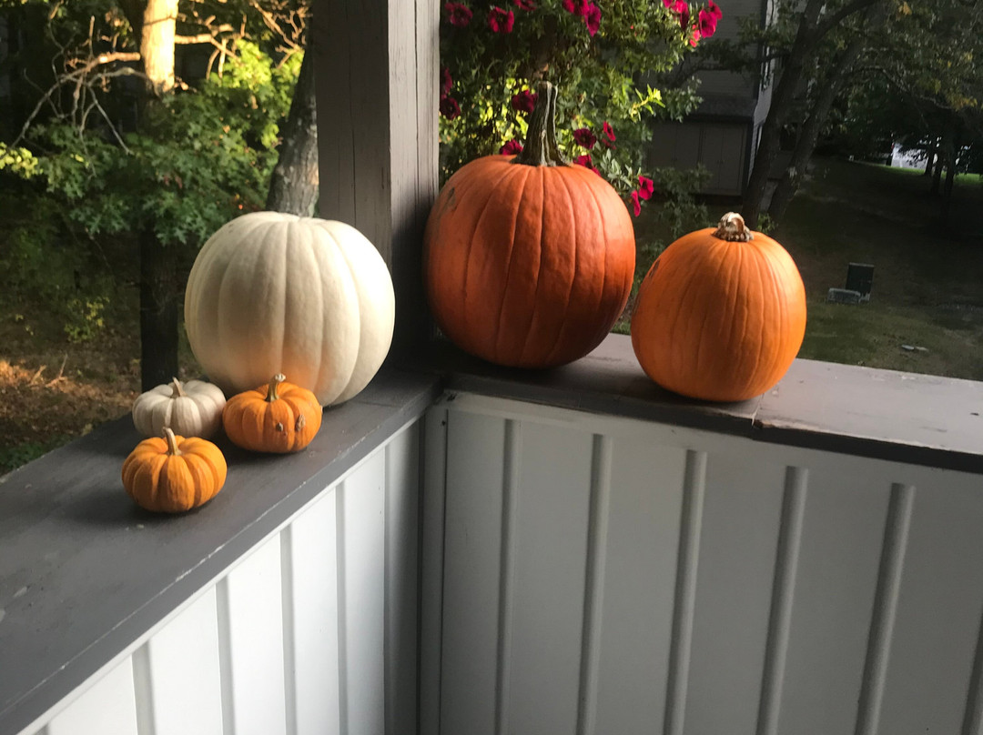 Moulton Farm-梅勒迪斯必去景点