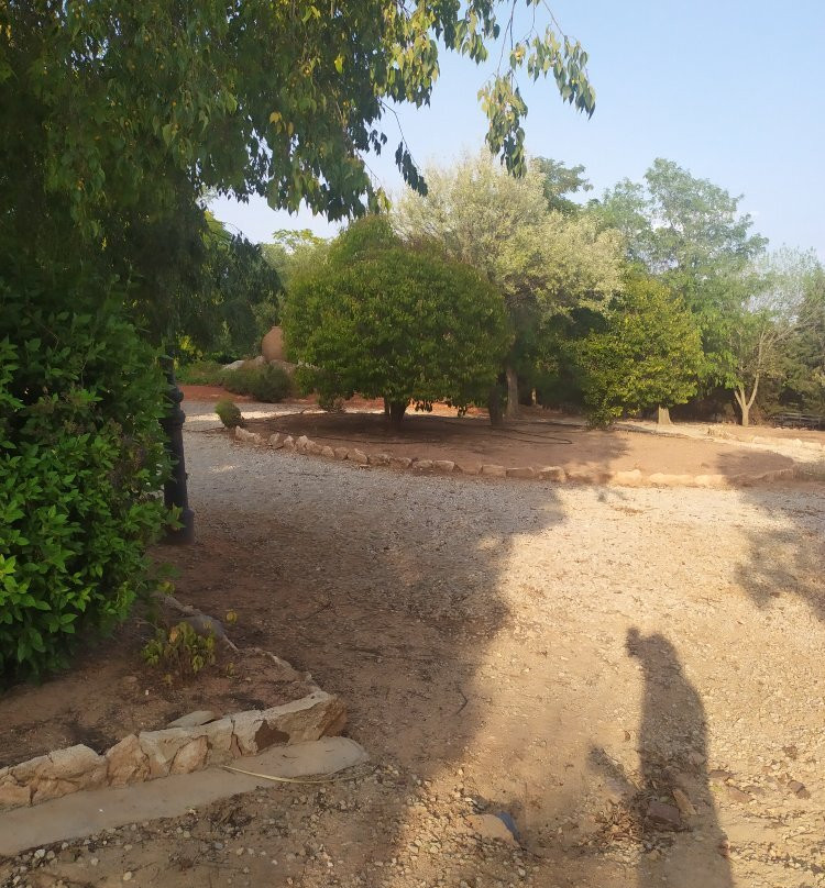 Parque Arqueológico Cerro De Las Cabezas景点图片