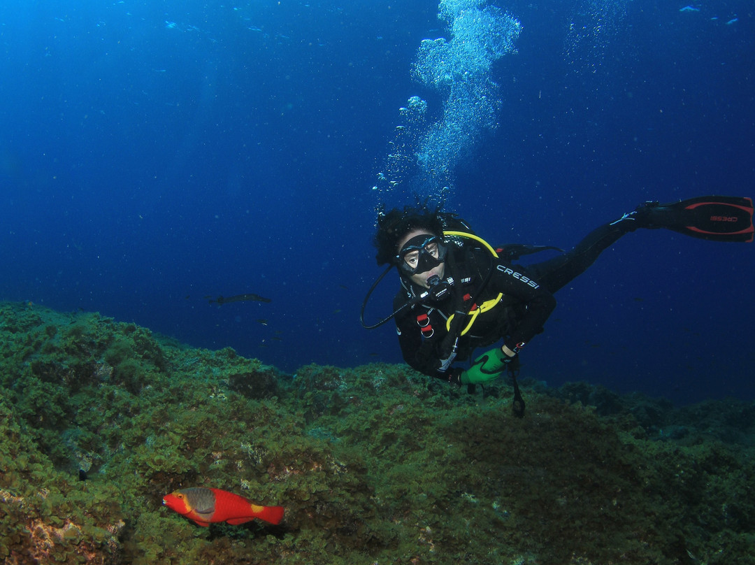 Fan Diving Hierro-La Restinga必去景点