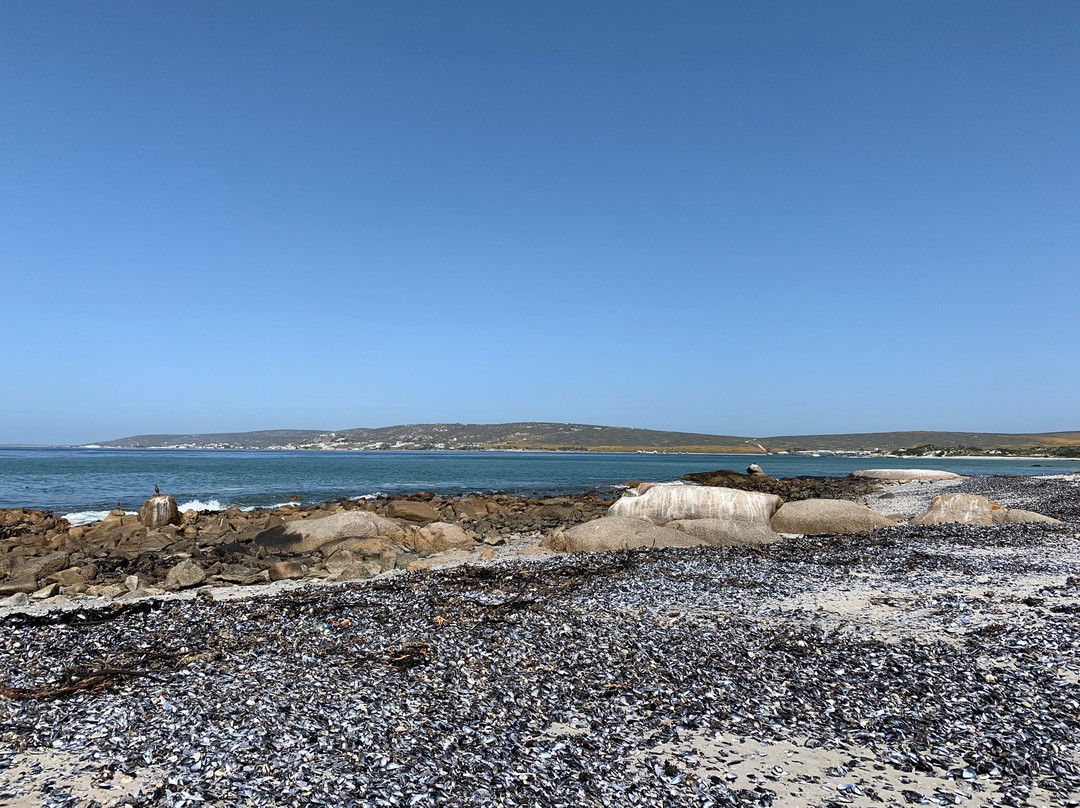 Stompneus Point Lighthouse景点图片