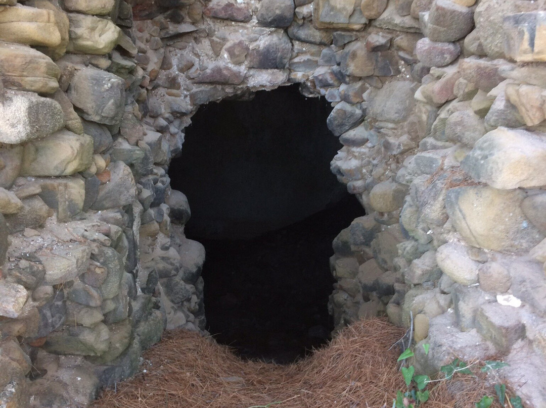Torri Costiere di Castellabate景点图片