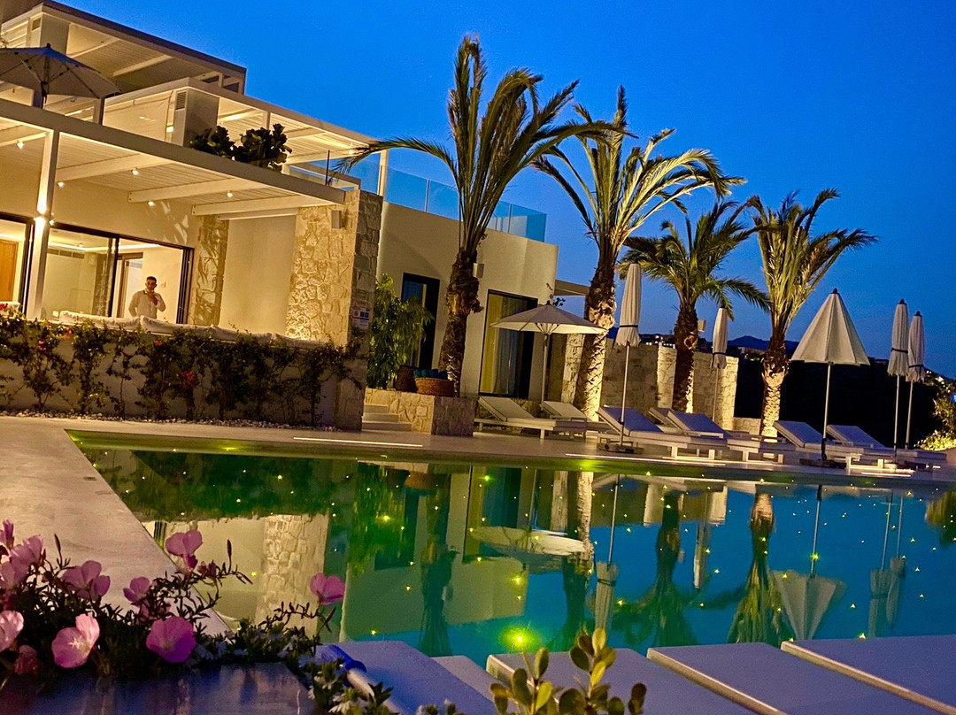 The Island Concept主图