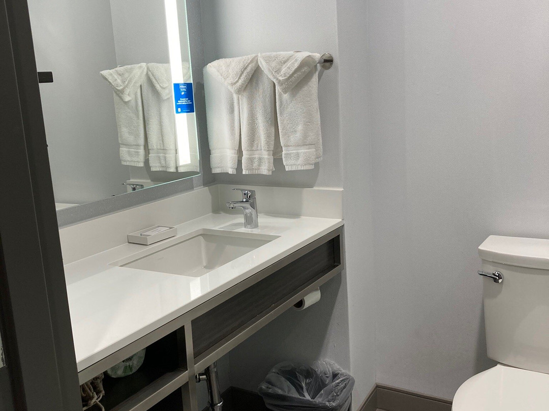 东艾尔文/森林湖希尔顿花园酒店主图