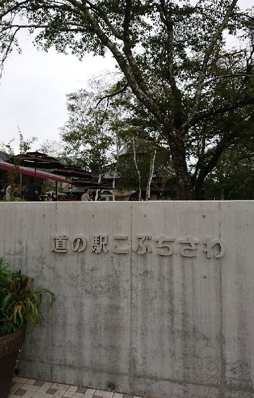 Michi-no-Eki  Kobuchisawa-北斗市必去景点