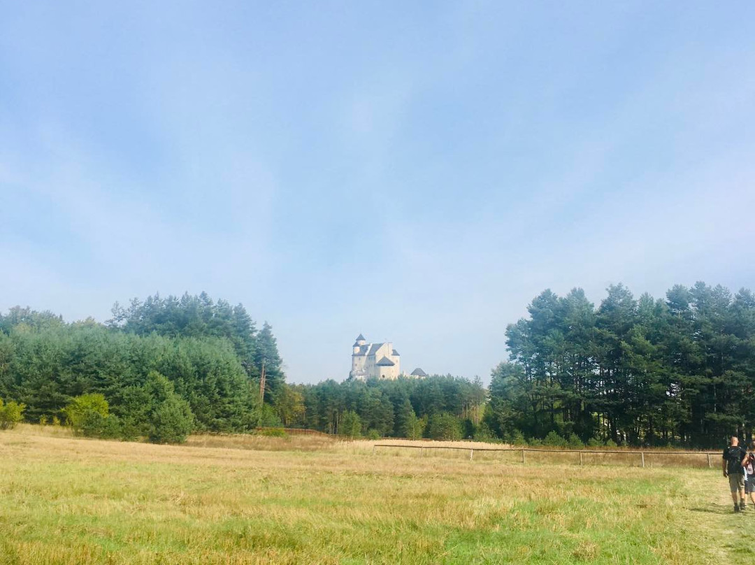 Bobolice Castle景点图片