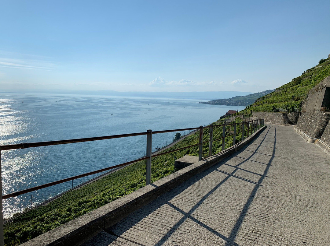 Lavaux Express-吕特里必去景点