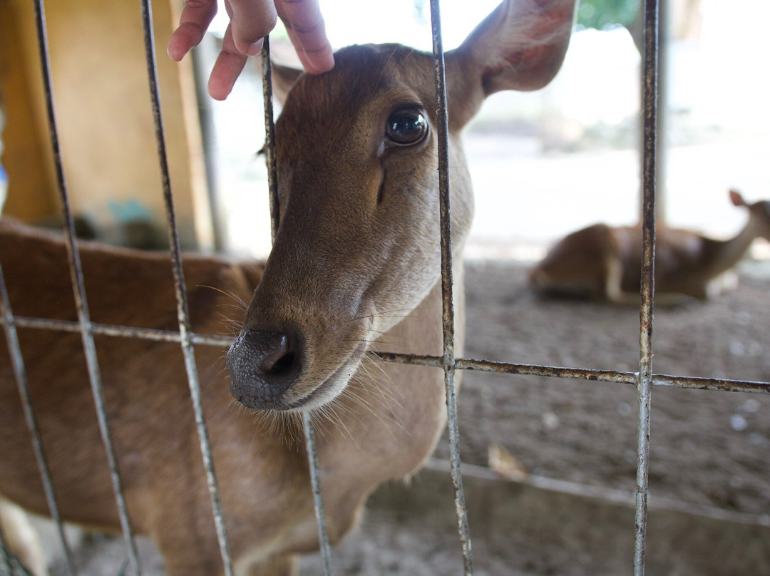 Taman Buaya & Rekreasi Melaka-爱极乐必去景点