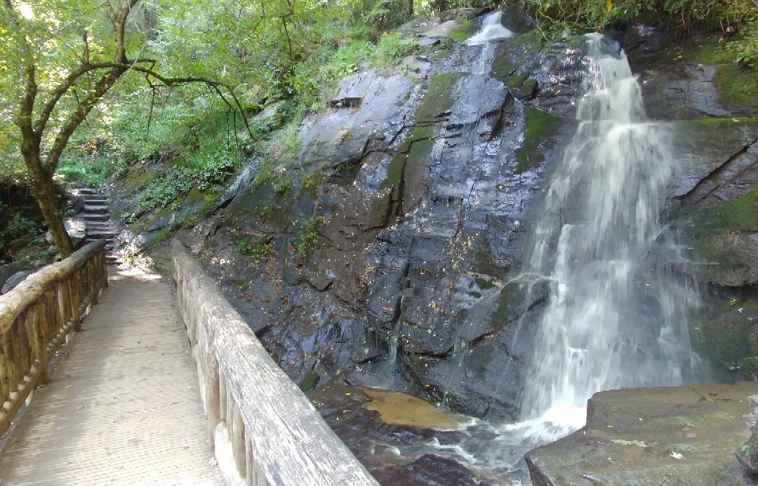 Juney Whank Falls-大雾山国家公园必去景点