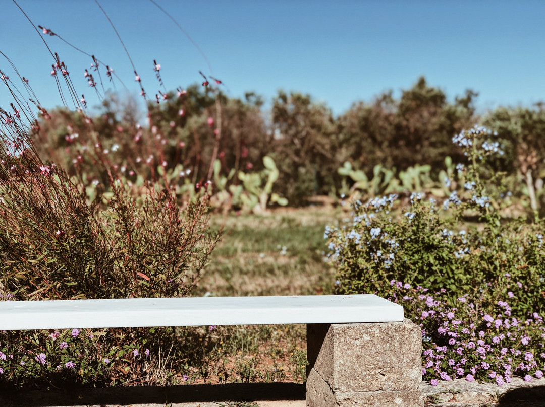 索斯塔阿波南特B&B酒店主图