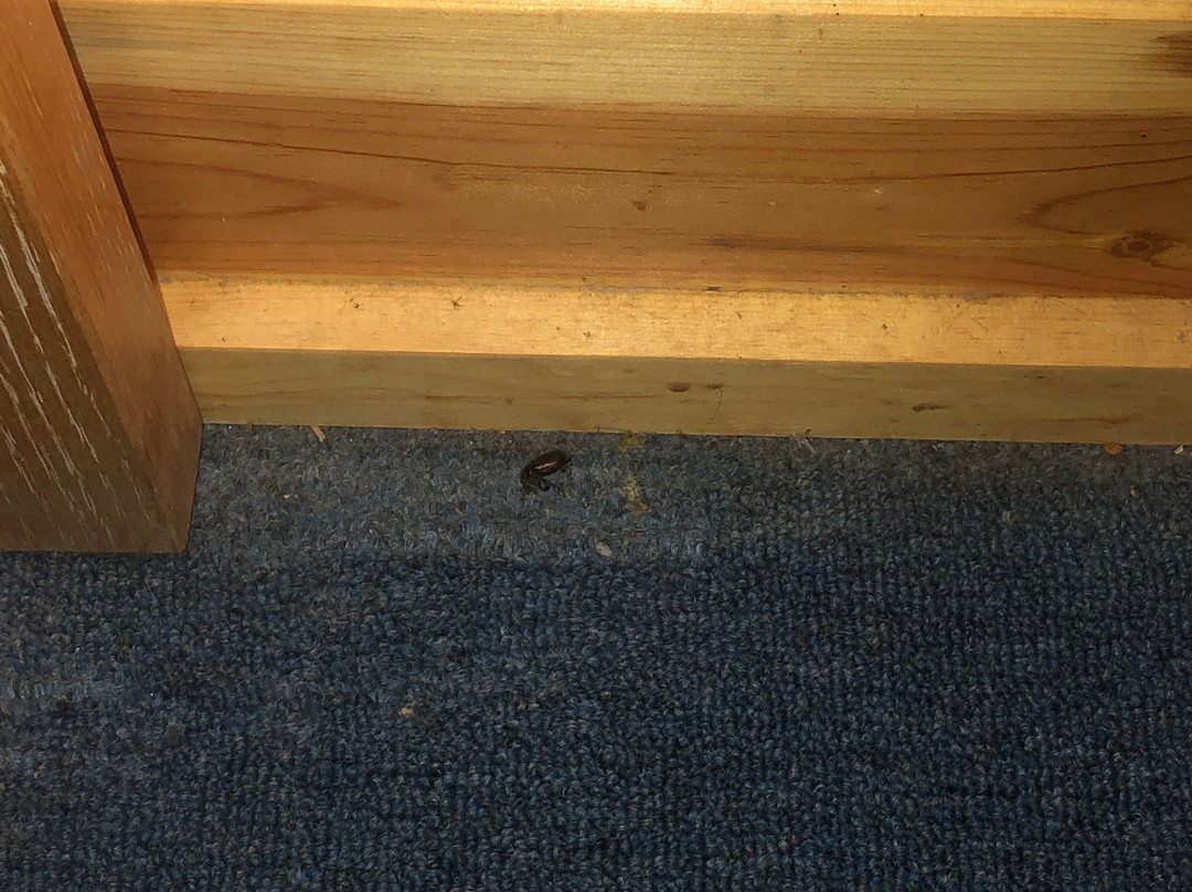 Tal-WI-WI Lodge主图