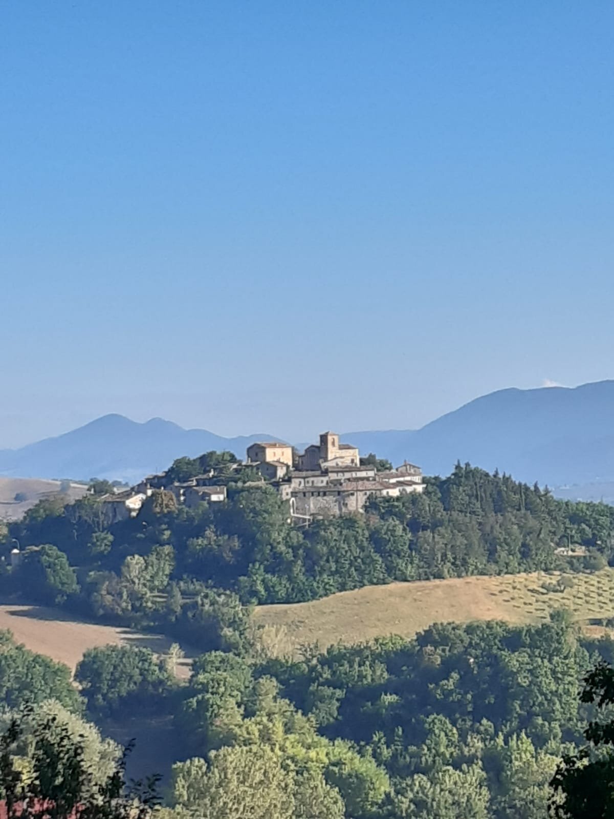 Il Giardino Degli Ulivi-官方