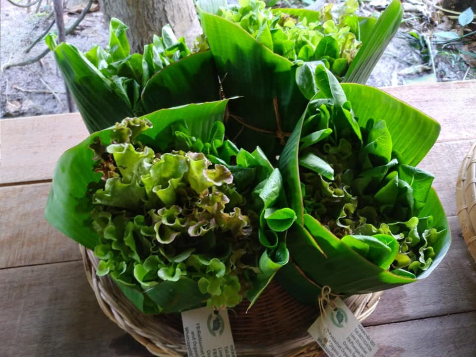 帕丽达花园度假村主图