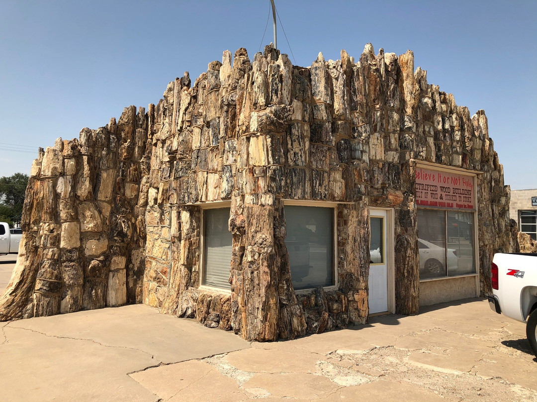 Petrified Wood Gas Station-Lamar必去景点