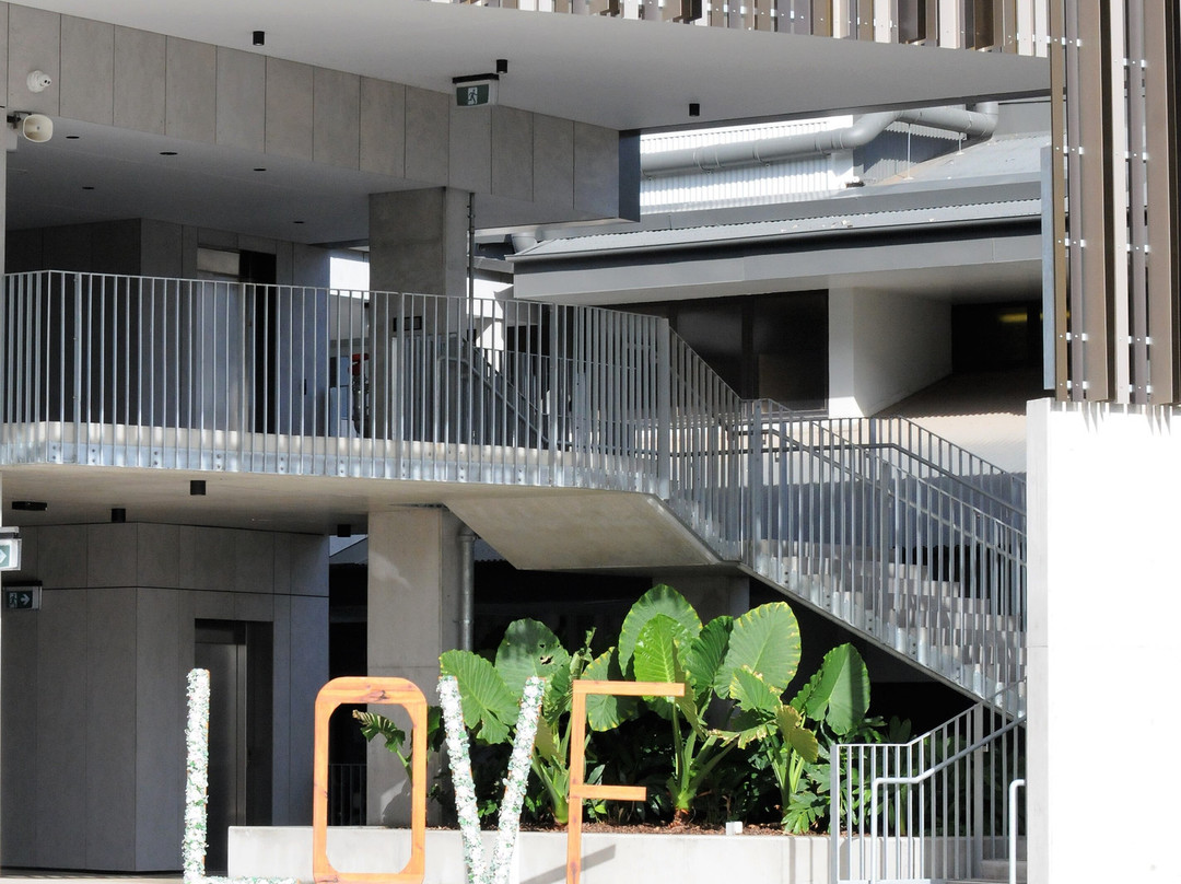 Ipswich Turf Club Inc-伊普斯威奇必去景点